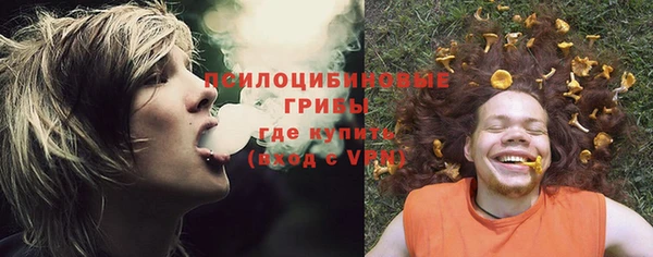 прущая мука Арсеньев