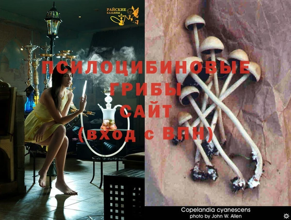 ешки Балабаново
