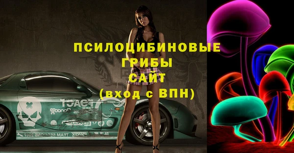 прущая мука Арсеньев