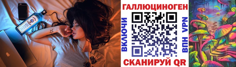 Псилоцибиновые грибы Psilocybe Верещагино